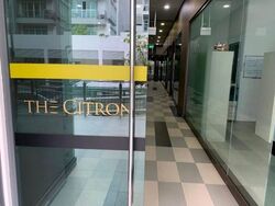 The Citron (D8), Shop House #617478511